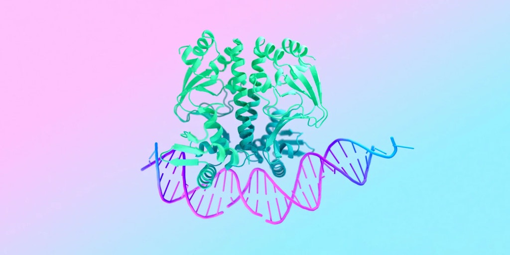 AlphaFold 3 - Predicting the Structure & Interactions of Life's Molecules | Google DeepMind