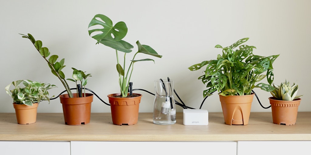 Siram - Automated Houseplant Irrigation System