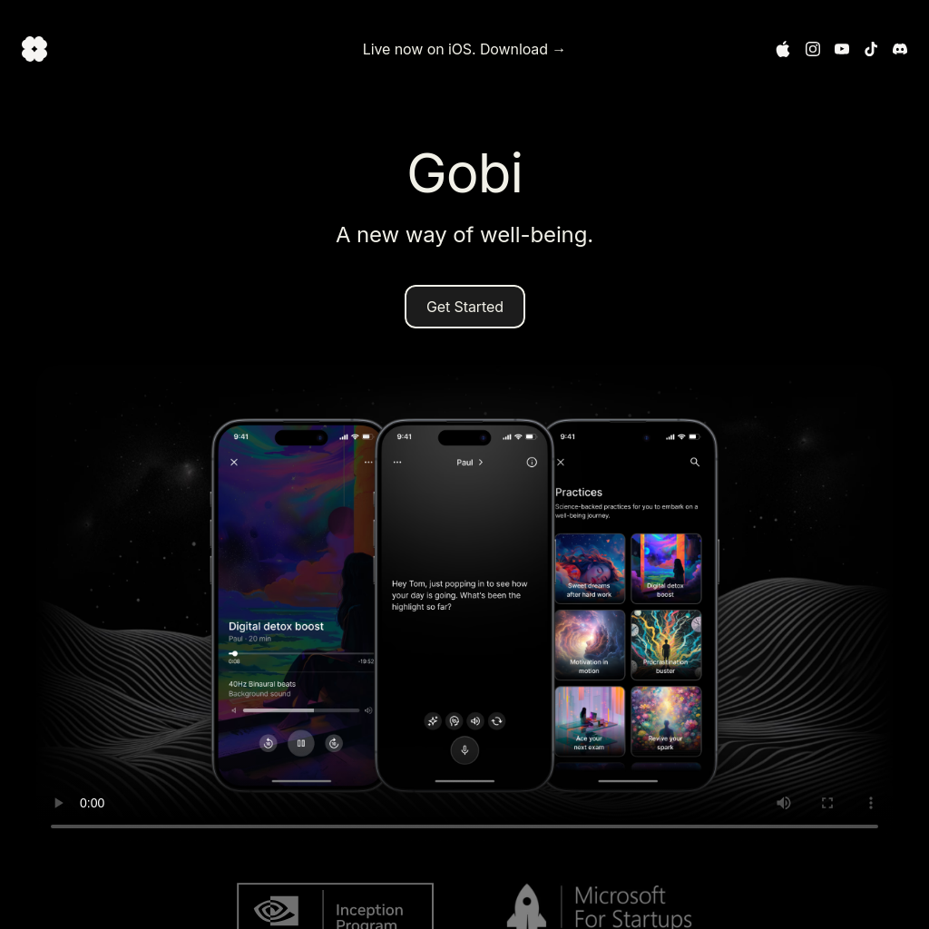 Gobi - Bem-estar Hiper-Personalizado e Suporte em Tempo Real