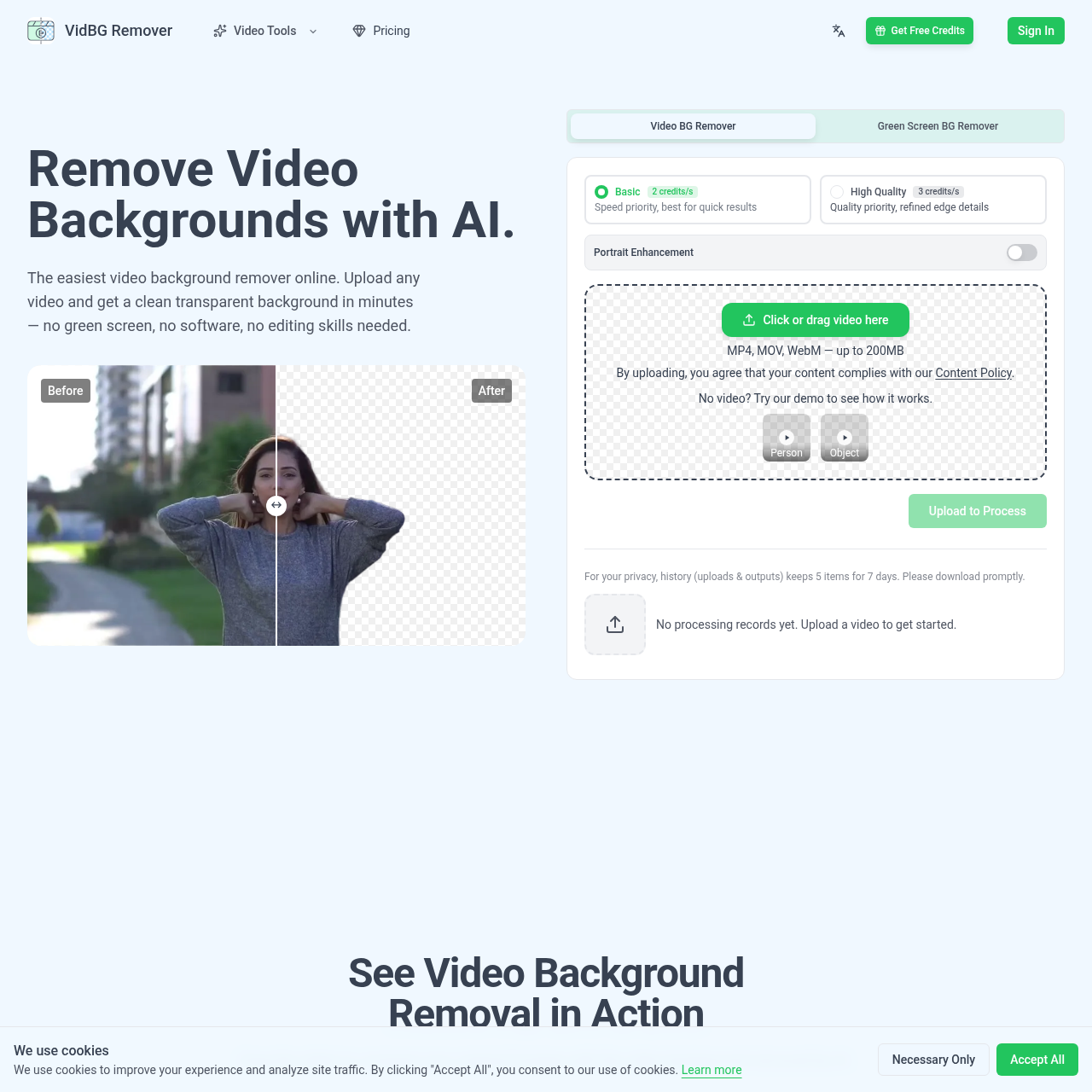 VidBG Remover | AI Video Background Remover with Transparent Export